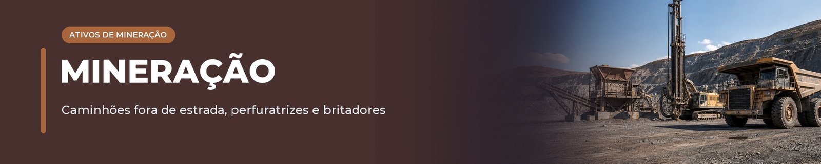Leilões de ativos de Mineração