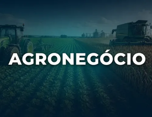 Implementos Agrícolas em Leilão: Estado de Conservação no Edital